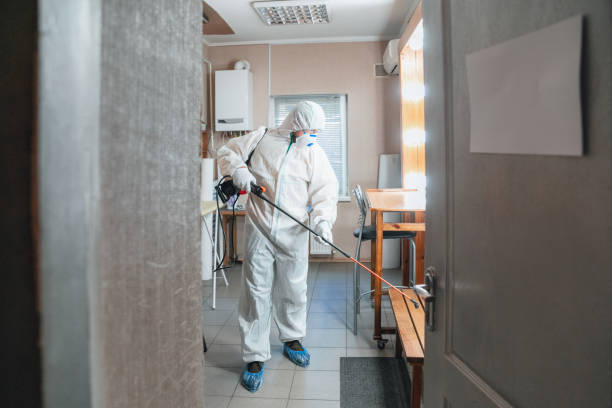 Best Comprehensive Air Testing for Mold Contaminants  in East Rutherford, NJ